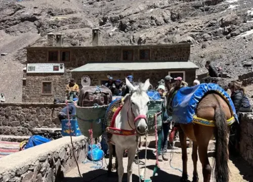 Mount Toubkal Ascent (2 Days) – The Classic Summit Expedition