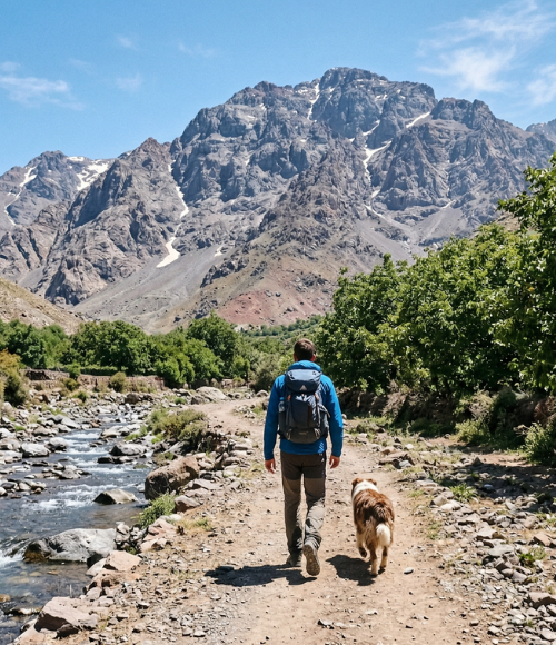 Need a Tailor-Made Adventure?